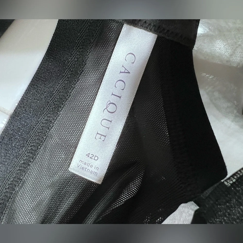 NWT- Sheer Lane Bryant Bra - Picture 3 of 4